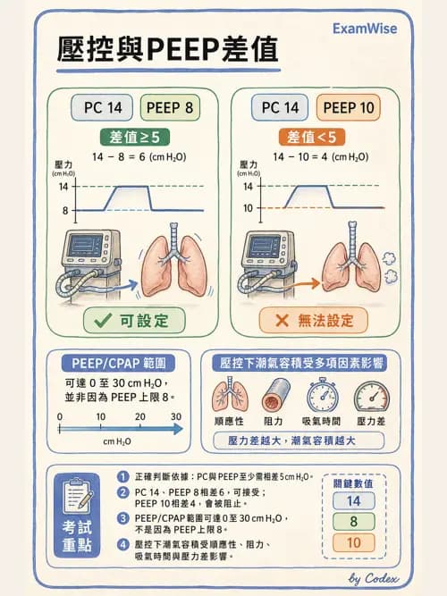 呼吸治療師 - 非侵襲性與居家通氣 - AI 圖文解析預覽