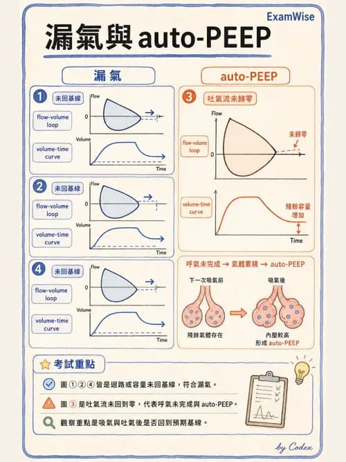 呼吸治療師 - 呼吸器圖形判讀與故障排除 - AI 圖文解析預覽