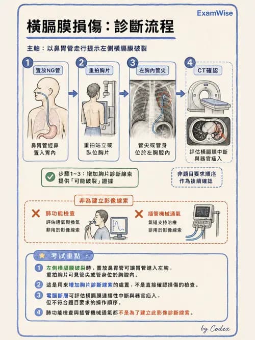 呼吸治療師 - 術後與其他呼吸重症 - AI 圖文解析預覽