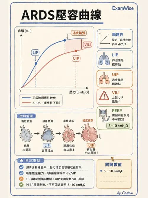 呼吸治療師 - ARDS與呼吸衰竭 - AI 圖文解析預覽