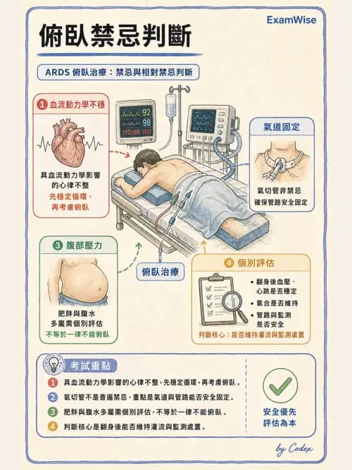 呼吸治療師 - ARDS與呼吸衰竭 - AI 圖文解析預覽