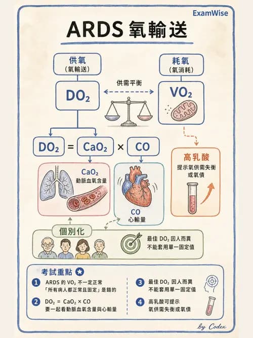 呼吸治療師 - ARDS與呼吸衰竭 - AI 圖文解析預覽