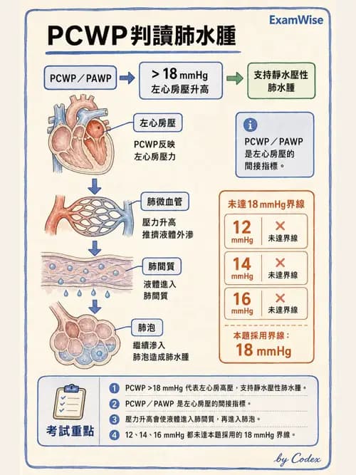 呼吸治療師 - ARDS與呼吸衰竭 - AI 圖文解析預覽