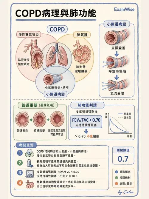 呼吸治療師 - 心臟疾病與COPD重症 - AI 圖文解析預覽