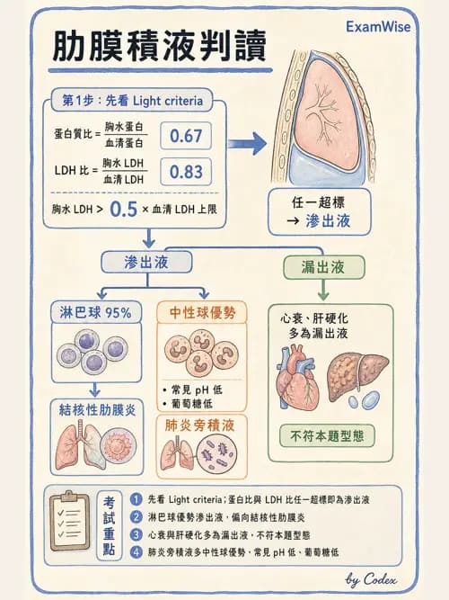 呼吸治療師 - 術後與其他呼吸重症 - AI 圖文解析預覽