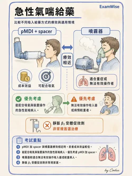 呼吸治療師 - 心臟疾病與COPD重症 - AI 圖文解析預覽