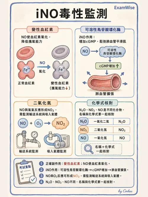 呼吸治療師 - 重症特殊處置 - AI 圖文解析預覽