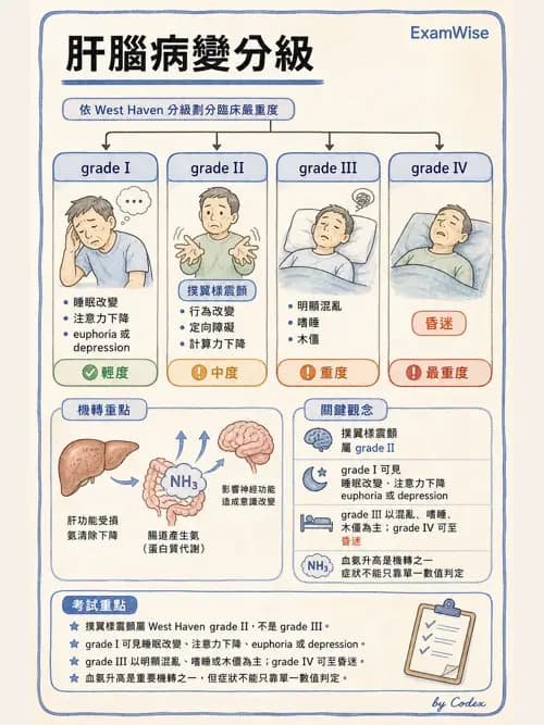 呼吸治療師 - 休克、敗血症與多器官衰竭 - AI 圖文解析預覽