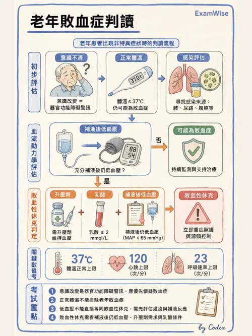 呼吸治療師 - 休克、敗血症與多器官衰竭 - AI 圖文解析預覽