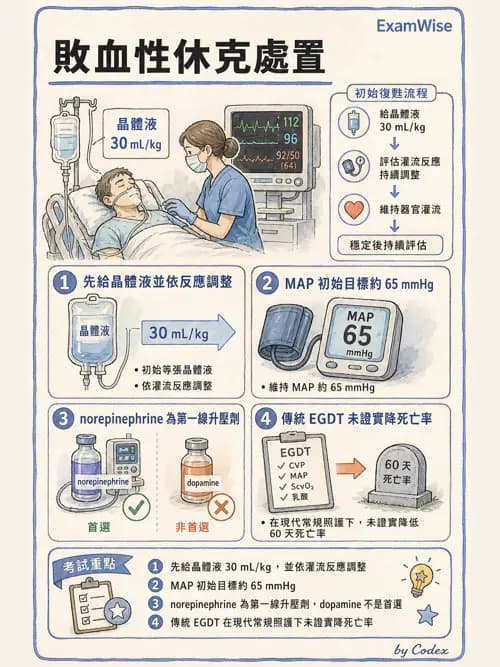 呼吸治療師 - 休克、敗血症與多器官衰竭 - AI 圖文解析預覽