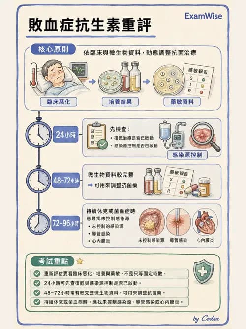 呼吸治療師 - 休克、敗血症與多器官衰竭 - AI 圖文解析預覽