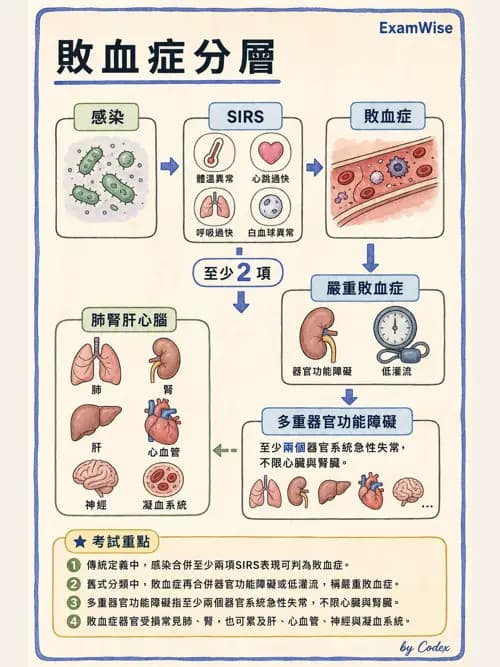 呼吸治療師 - 休克、敗血症與多器官衰竭 - AI 圖文解析預覽