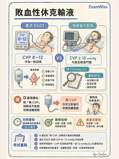 呼吸治療師 - 休克、敗血症與多器官衰竭 - AI 圖文解析預覽