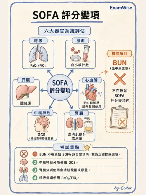 呼吸治療師 - 休克、敗血症與多器官衰竭 - AI 圖文解析預覽