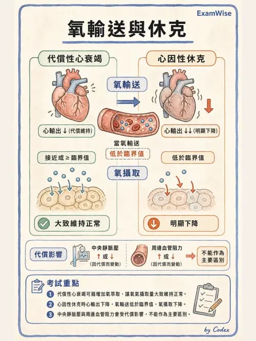 呼吸治療師 - 心臟疾病與COPD重症 - AI 圖文解析預覽