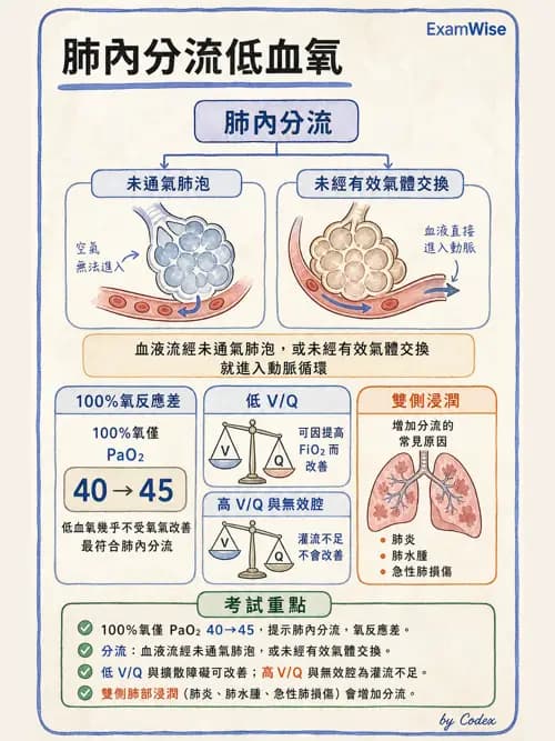 呼吸治療師 - 重症監測與判讀 - AI 圖文解析預覽