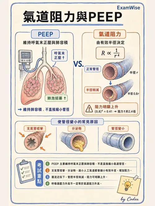 呼吸治療師 - 重症監測與判讀 - AI 圖文解析預覽