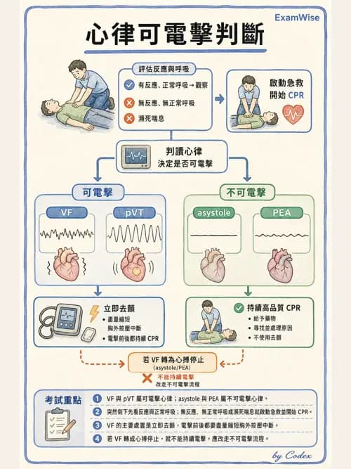 呼吸治療師 - 心臟疾病與COPD重症 - AI 圖文解析預覽