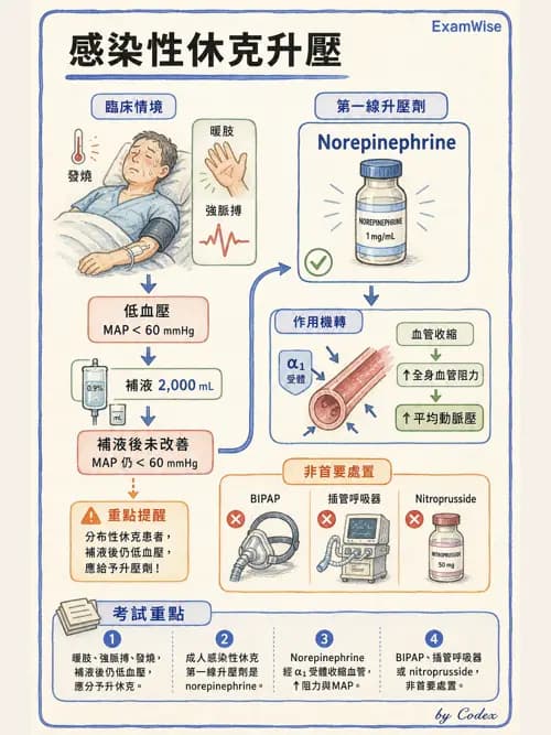 呼吸治療師 - 休克、敗血症與多器官衰竭 - AI 圖文解析預覽
