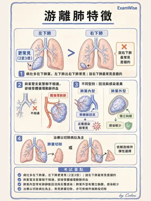 呼吸治療師 - 術後與其他呼吸重症 - AI 圖文解析預覽