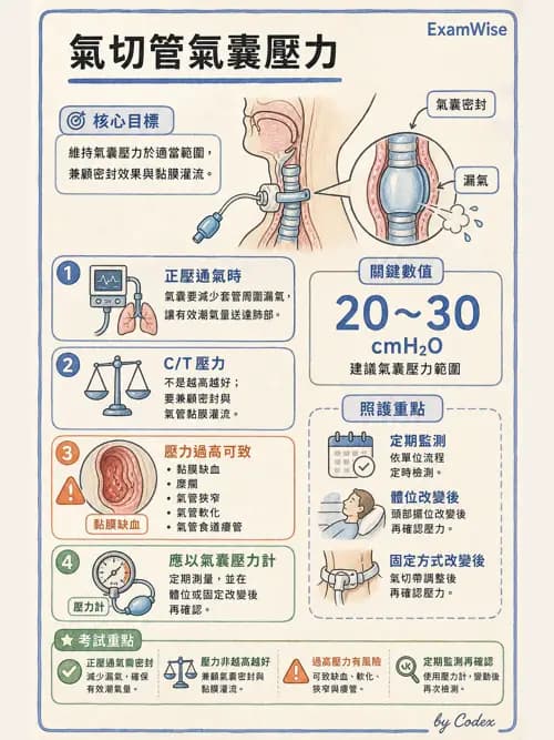 呼吸治療師 - 呼吸器併發症與感染 - AI 圖文解析預覽