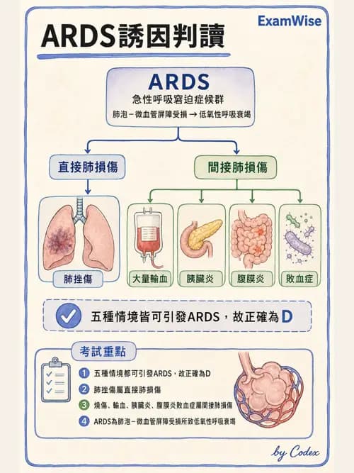呼吸治療師 - ARDS與呼吸衰竭 - AI 圖文解析預覽