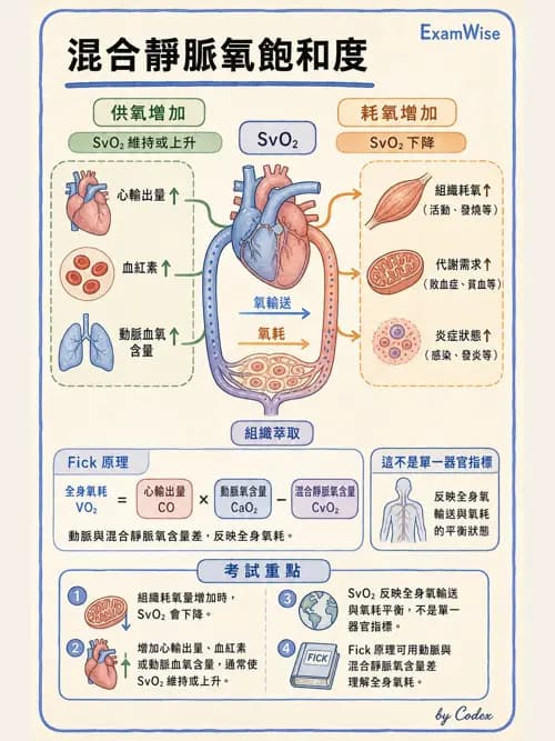 呼吸治療師 - 重症監測與判讀 - AI 圖文解析預覽