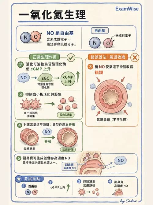 呼吸治療師 - 重症特殊處置 - AI 圖文解析預覽