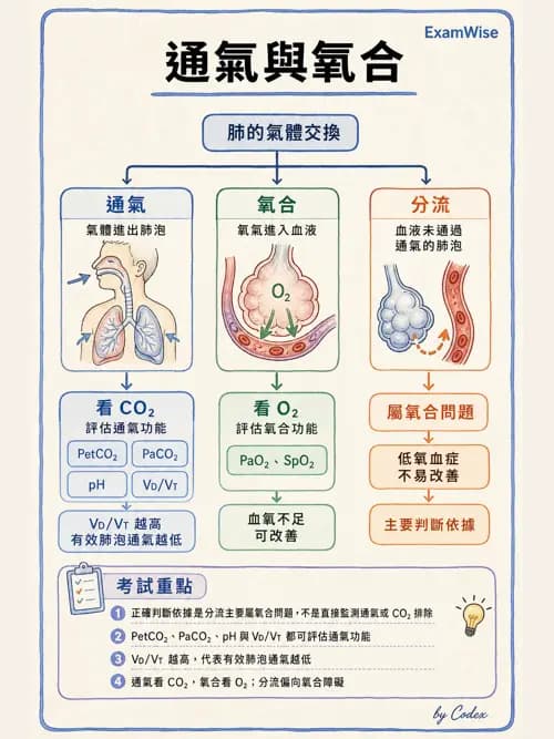 呼吸治療師 - 重症監測與判讀 - AI 圖文解析預覽