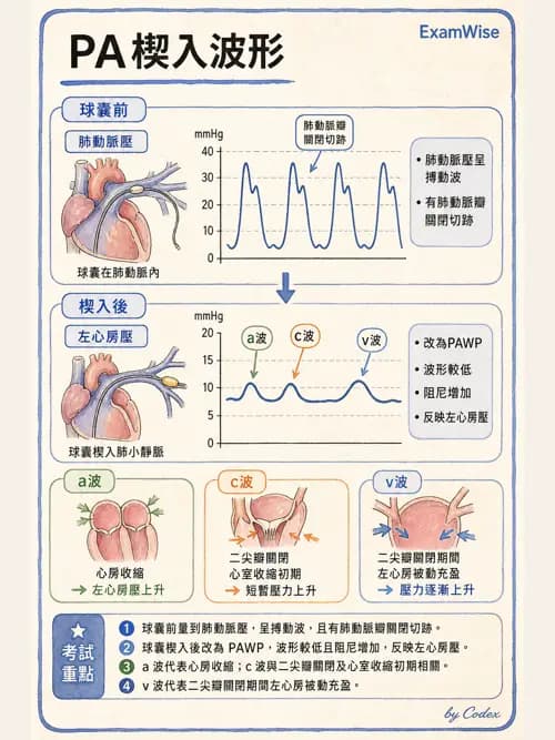 呼吸治療師 - 重症監測與判讀 - AI 圖文解析預覽