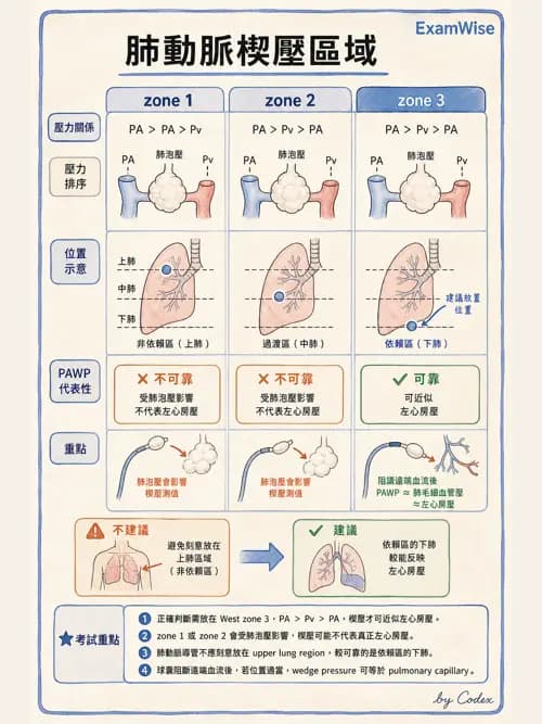 呼吸治療師 - 重症監測與判讀 - AI 圖文解析預覽