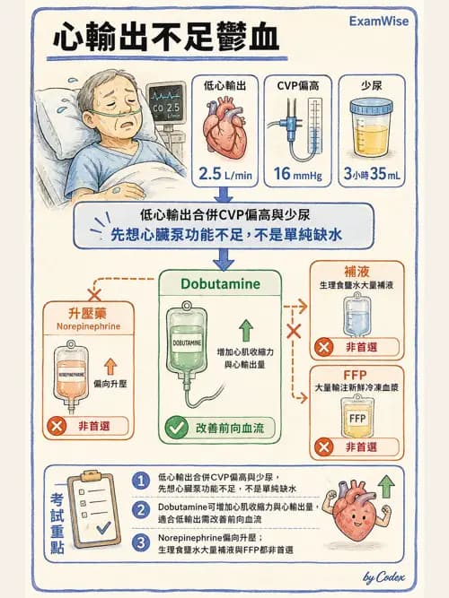 呼吸治療師 - 重症監測與判讀 - AI 圖文解析預覽