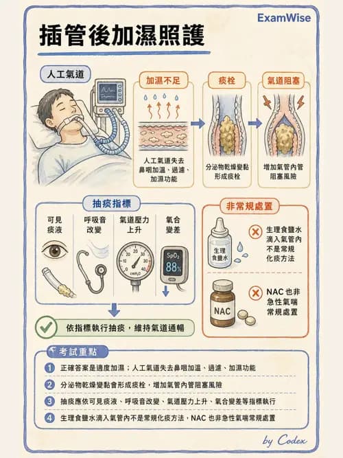 呼吸治療師 - 呼吸器併發症與感染 - AI 圖文解析預覽