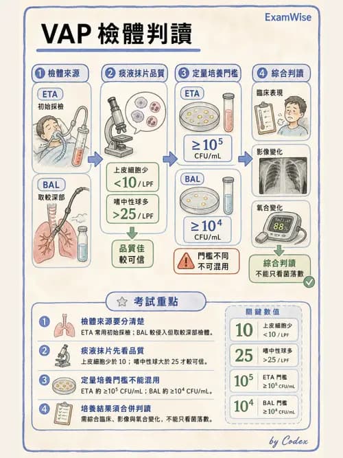 呼吸治療師 - 呼吸器併發症與感染 - AI 圖文解析預覽