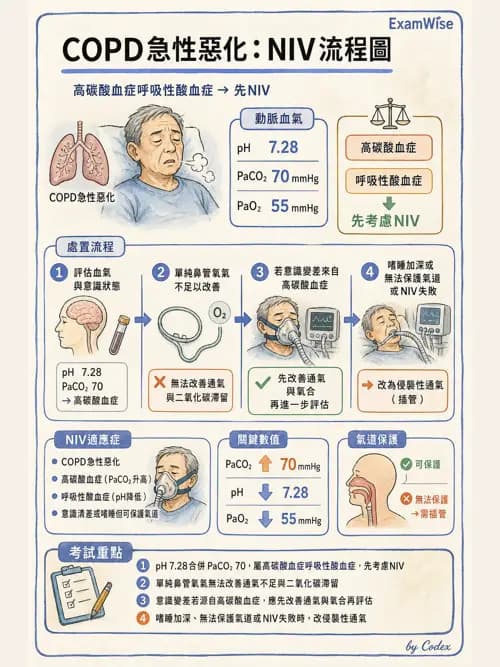 呼吸治療師 - 心臟疾病與COPD重症 - AI 圖文解析預覽