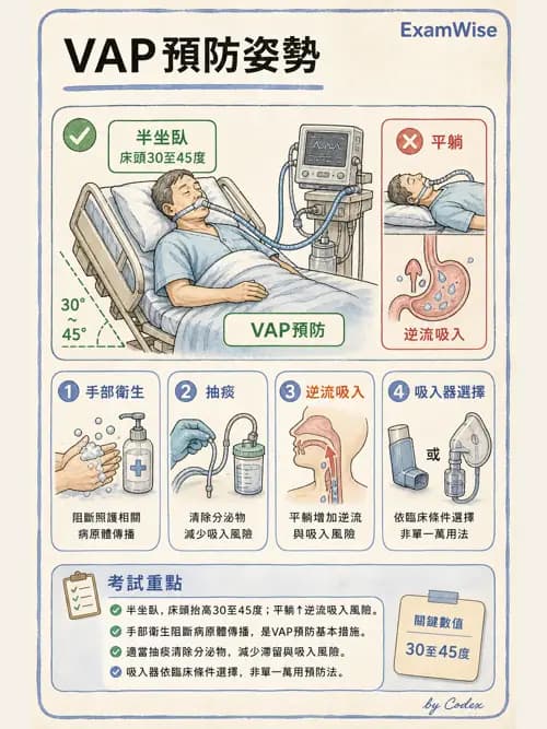 呼吸治療師 - 呼吸器併發症與感染 - AI 圖文解析預覽