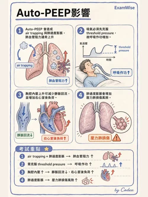 呼吸治療師 - 呼吸器併發症與感染 - AI 圖文解析預覽