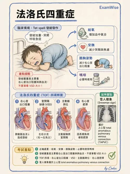 呼吸治療師 - 小兒相關重症 - AI 圖文解析預覽