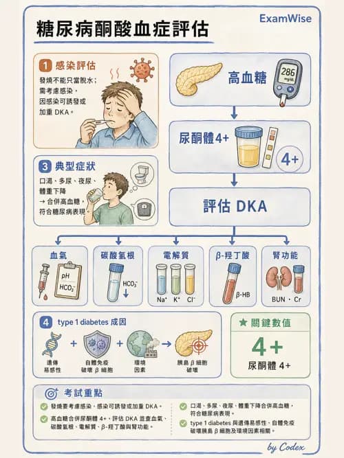 呼吸治療師 - 小兒相關重症 - AI 圖文解析預覽