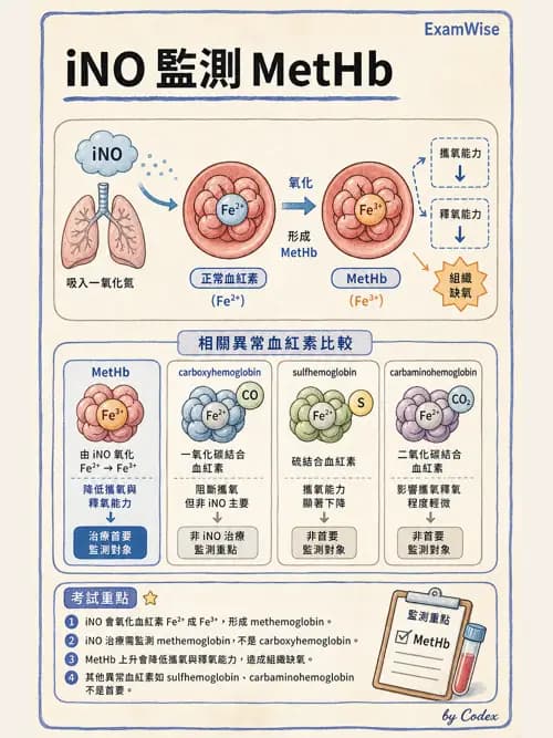 呼吸治療師 - 重症特殊處置 - AI 圖文解析預覽
