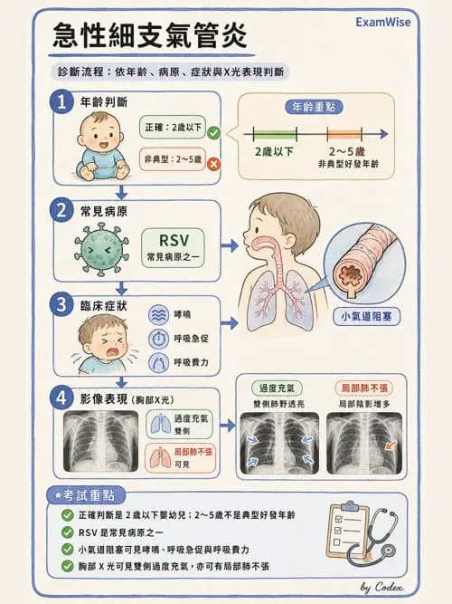 呼吸治療師 - 小兒相關重症 - AI 圖文解析預覽