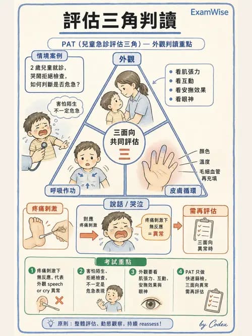 呼吸治療師 - 小兒相關重症 - AI 圖文解析預覽