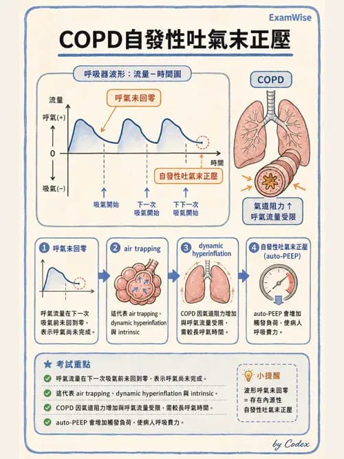 呼吸治療師 - 心臟疾病與COPD重症 - AI 圖文解析預覽