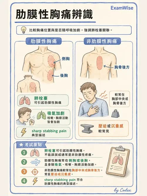 呼吸治療師 - 病人評估與衛教 - AI 圖文解析預覽