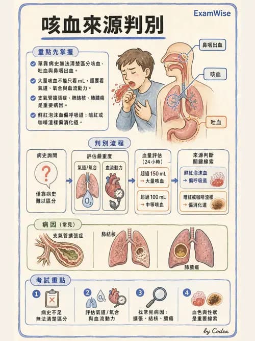 呼吸治療師 - 病人評估與衛教 - AI 圖文解析預覽