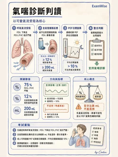 呼吸治療師 - 慢性氣道疾病 - AI 圖文解析預覽