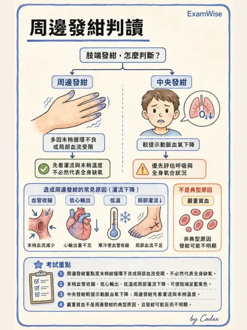 呼吸治療師 - 病人評估與衛教 - AI 圖文解析預覽