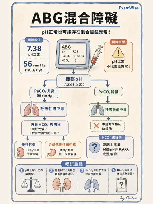 呼吸治療師 - 病人評估與衛教 - AI 圖文解析預覽