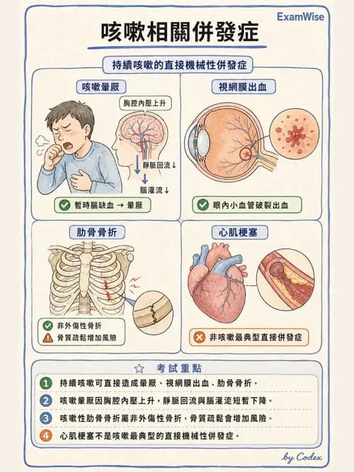 呼吸治療師 - 病人評估與衛教 - AI 圖文解析預覽