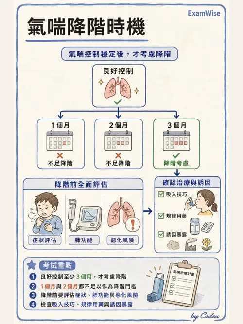 呼吸治療師 - 慢性氣道疾病 - AI 圖文解析預覽